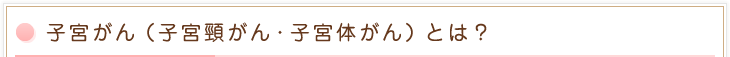 子宮がん（子宮頸がん・子宮体がん）とは？