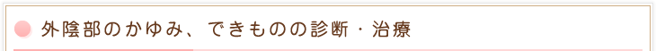 外陰部のかゆみ、できものの診断・治療